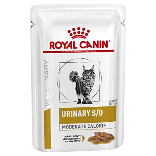 Royal Canin Urinary Cat S/O Moderate Calorie Húmedo