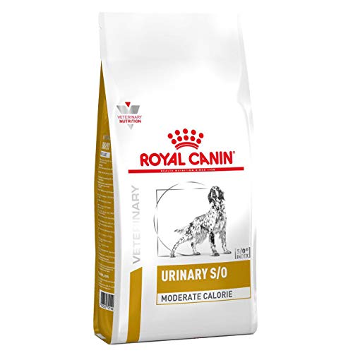 ROYAL CANIN Urinary S/O Moderate Calorie Perro