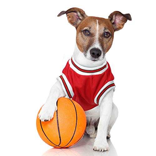 RTEAQ Ropa Mascotas Ropa para Perros de Verano Chaleco para Perros Transpirable Camiseta Ropa Deportiva Perros Gato Paño de Baloncesto para Perros pequeños y medianos Cachorro Pitbull