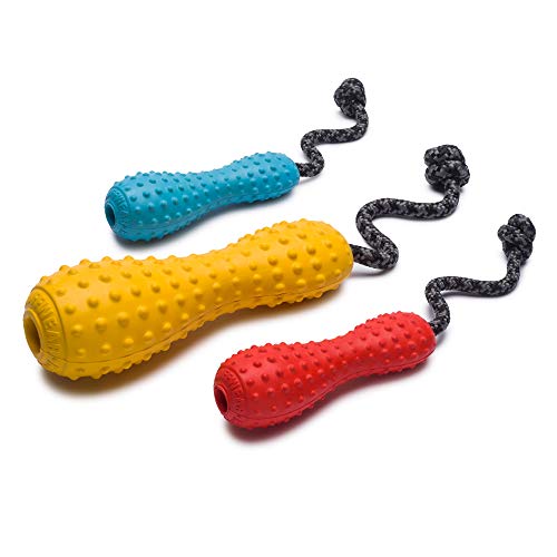 RUFFWEAR Chew-Resistant Rubber Dog Toy with Rope Handle, Size: Large, Metolius Blue, Gourdo, 60301-425L