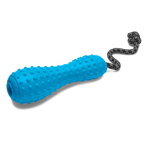 RUFFWEAR Chew-Resistant Rubber Dog Toy with Rope Handle, Size: Large, Metolius Blue, Gourdo, 60301-425L