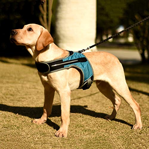 Ruibuy - Arnés luminoso en forma de K para arnés de pecho para perros de tamaño mediano y grande viaje de noche