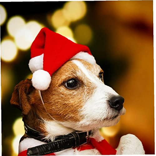 Ruluti 1pc Christmas Pet Santa Sombrero para Mascotas Kitten Perros Perros Gatos Festivales Vacaciones Fiestas Accesorios Disfraces