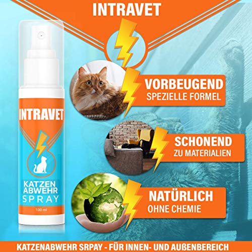 Saint Nutrition Intravet by Katzas - Spray repelente para interior y exterior - Spray de protección para gatos - Gato hau ab - Stopp bleib Weg