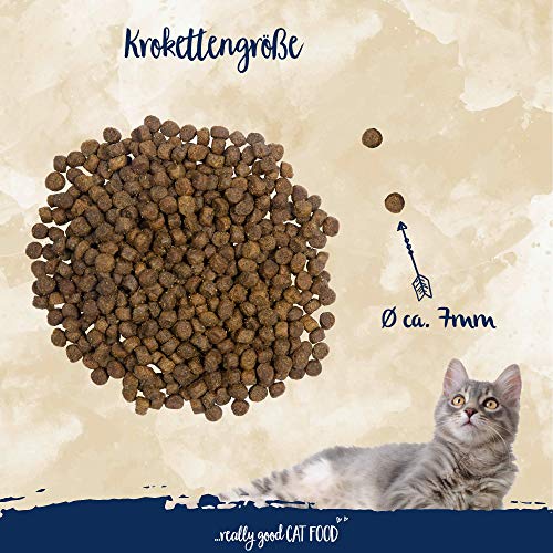 Sanabelle Adult con Avestruz | Alimento seco para gatos adultos (a partir de 12 meses) | 1 x 10 kg