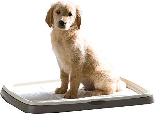 Savic Puppy Trainer - Kit de bandeja para perros, Gris (Warm Grey), Talla L