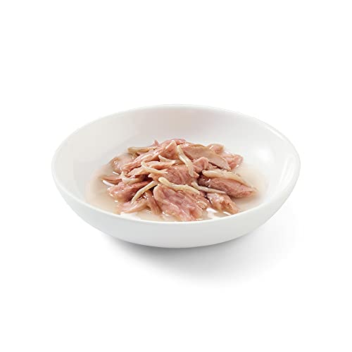 Schesir, Comida húmeda para Gatos Adultos, Sabor bacoreta con anchoas en gelatina Blanda - Total 2 kg (24 latas monodosis x 85 gr)