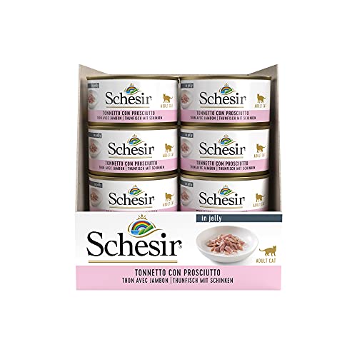 Schesir, Comida húmeda para Gatos Adultos, Sabor bacoreta con jamón en gelatina Blanda - Total 2 kg (24 latas monodosis 85 gr)