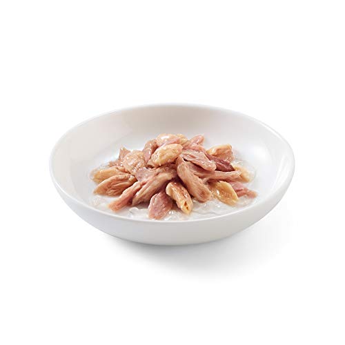Schesir, Comida Húmeda para Gatos adultos, sabor bacoreta con salmón en gelatina blanda - Total 1,7 kg (20 sobres x 85 gr)