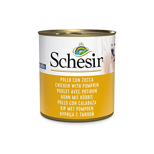 Schesir, Comida húmeda para Perros Adultos, Sabor Pollo con Calabaza, filetes en gelatina Blanda - Total 4,56 kg (16 latas x 285 gr)