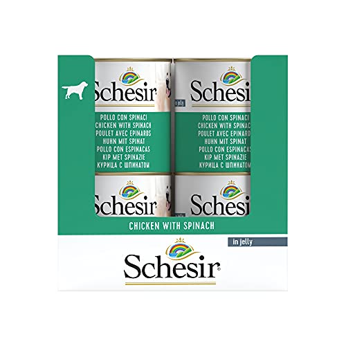 Schesir, Comida húmeda para Perros Adultos, Sabor Pollo con Espinacas, filetes en gelatina Blanda - Total 4,56 kg (16 latas x 285 gr)
