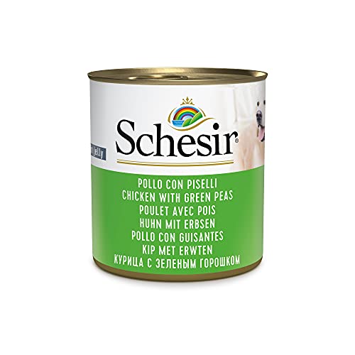Schesir, Comida húmeda para Perros Adultos, Sabor Pollo con Guisantes, filetes en gelatina Blanda - Total 4,56 kg (16 latas x 285 gr)