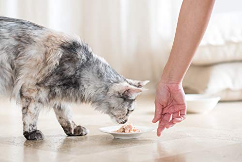 Schesir, Comida Seca para Gatos Esterilizados esterilizados o en Sobrepeso con Pollo - Bolsa De 10 Kg