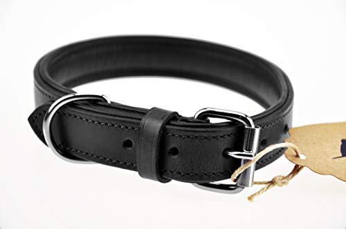 Schnüffelfreunde Collar de Perro de Cuero (XXL - 55-65cm, Negro)