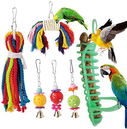 Scoolr Juguetes para loros de pájaros, 6 piezas de juguetes para masticar loros, loros, piquetas, cacatúas, pájaros de amor