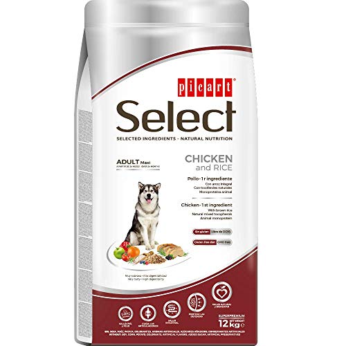 Select Adult Maxi Chicken 12Kg, Negro, 12 kg, 12000