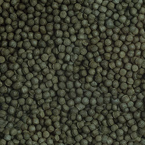 sera Cichlid Green XL Nature Alimento para acuarios - 370 g/ 1000 ml