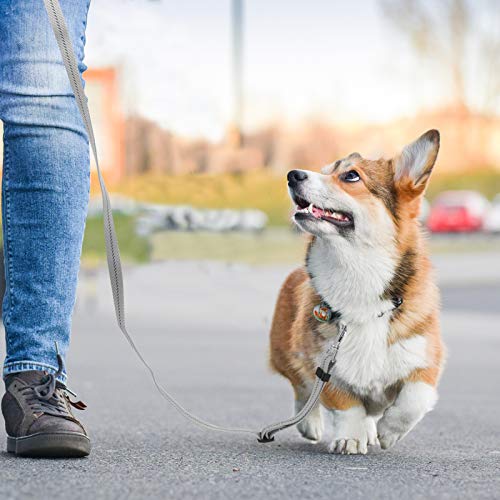 ShawFly Cuerda de entrenamiento para perros con asa, cuerda elástica a prueba de explosiones, diseño de cierre con llave para perros pequeños y medianos mientras corres, rastrea (1,6 m) (negro)