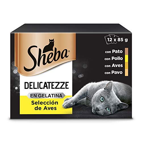 Sheba Delicatezze Comida Húmeda para Gatos Selección de Aves en Gelatina, Multipack (4 Cajas x 12 Sobres x 85g)