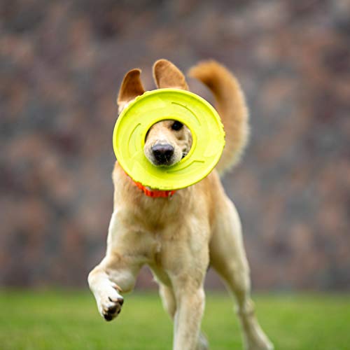 Skipdawg juguete para perro frisbee de disco, juguete para perro, peso ligero, juguetes de entrenamiento para mascotas/juguetes de ejercicio al aire libre para perros, diámetro de 6.3 pulgadas