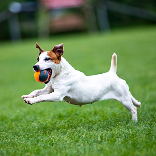 SKIPDAWG - Pelotas de tenis para perro, compatible con lanzador de pelotas de tenis para perro, juguete no tóxico, material de fieltro, juguete para perros de 2.5 pulgadas, 4 unidades