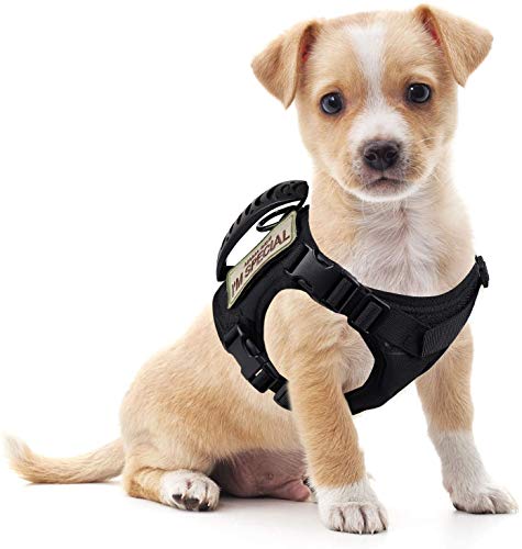 S.Lux Arnés Perro Pequeño , Arnés para Perro Ajustable Pet Harness Anti Escape Mascotas Chaleco (Negro)