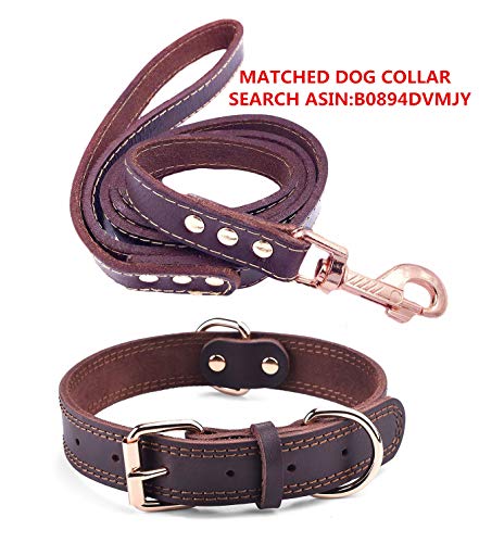 SLZZ Collar de Piel de para Perro, Tacto Suave Resistente Ajustable, para Hombres y Mujeres Perros pequeños medianos y Grandes