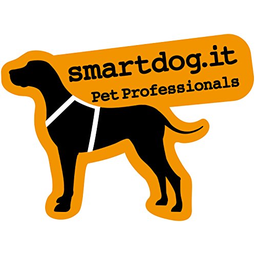 Smart Dog Hueso Plexi – Juegos de activación mentale, L