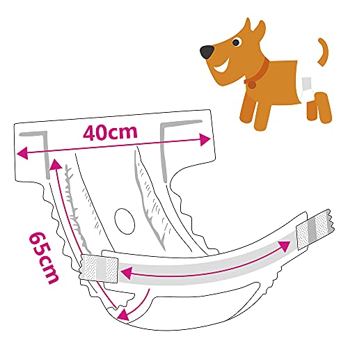 SMELL & SMILE Pañales Desechables para Perro Pañales para Perros Hembra Pañal Sanitarios para Perro Mascotas Bragas Higiénicas Suaves absorbentes (L)