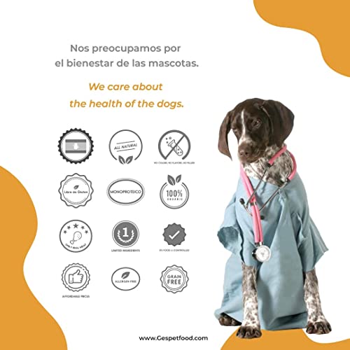Snack Natural para Perros - Tráquea de Vacuno para Perros - 0,5 kg - 10 Unidades - 100% Carne de Vaca - Sin OGM - 15 cm - Encías Saludables - 100% Natural - Fabricado en España - GESPETFOOD
