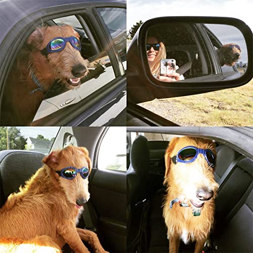 SONERNT Gafas de Sol para Perros con protección UV, Gafas de Perro con Cabeza Ajustable y Correas de Barbilla, protección contra el Desgaste de los Ojos para Perros medianos y Grandes (Azul)