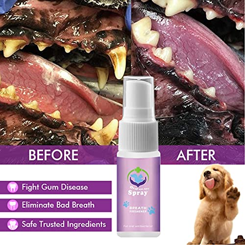 Spray dental para mascotas eliminar el mal aliento para perros y gatos Peleas placa de sarro y enfermedad de las encías sin cepillar ayuda digestiva para mascotas aliento fresco