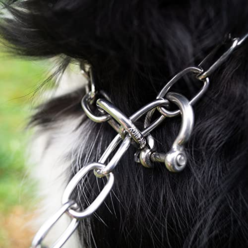 Sprenger - Collar para perros con gancho (grille) para limitar la tira, de acero inoxidable, para perros de pelo corto y largo, collar de 55 cm