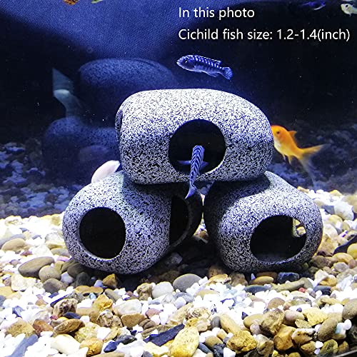 SpringSmart Rocas de acuario para mascotas acuáticas para criar, jugar y descansar, adornos de cerámica seguros y no tóxicos, pequeñas rocas decorativas para Aquascape