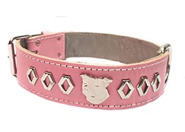 Staffy - Collar para perro de piel con diseño único y diseño de cabeza de Bull Terrier de Staffordshire, 3,8 cm de ancho (mediano: 45,7 cm a 55,8 cm)