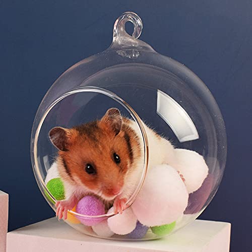 STOBOK Casa de Conejillo de Indias Casa Casa Transparente Hamster Rata Escondite Bola Nido Cama de Enfriamiento en Dwarf Conejos Erizo Accesorios de Jaula M