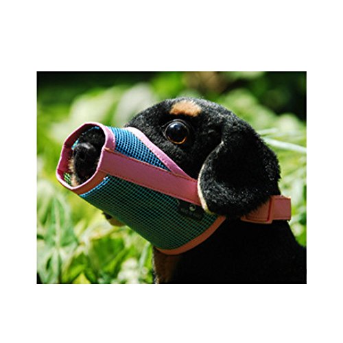Strimm Máscaras ajustables de malla transpirable para perros pequeños, medianos y grandes, de cuero suave, malla azul S