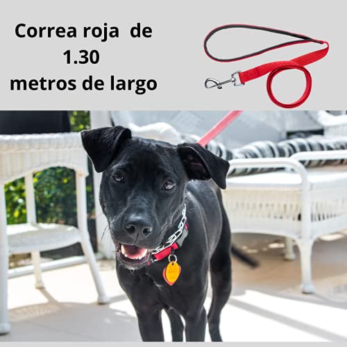 Sudepets- Correa Larga para Perros con asa Acolchada de 1.30 m de Largo,Cinta de Paseo , Especialmente diseñada para Perros de Gran tamaño.