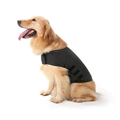Sunfauo Ropa para Perros Abrigo Perro Chaqueta antiansiedad para Perro Perro recuperación Trajes Camiseta médica para Perros Perro médico Chaleco Gray,XL