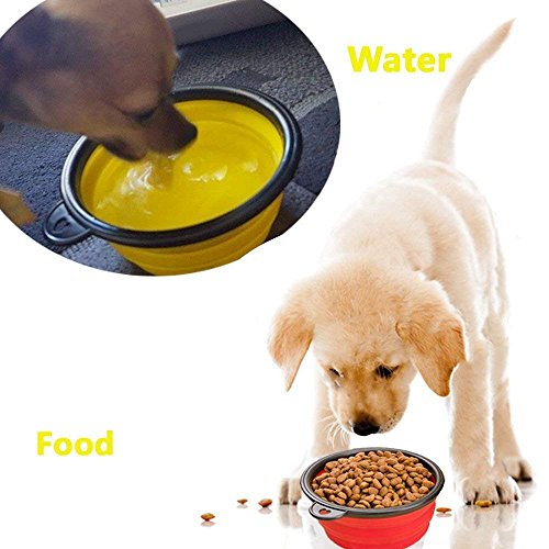 Sunnysam Tazón Plegable para Perros, Plato de Taza Extensible Plegable para Mascotas Comida para Gatos Alimentación de Agua Tazón de Viaje portátil Mosquetón Gratis (- Verde + BLU)