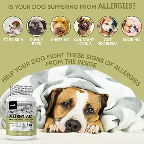 Suplemento para Alergias en Perros 120 Comprimidos - para Alergias Cutáneas, Ambientales y Alimentarias, Combate Alergias Estacionales en Perros, Rico en Omega 3, EPA y DHA