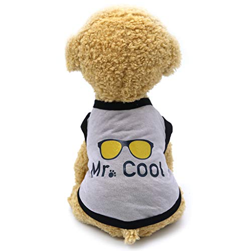 Sylar Ropa para Mascotas, Camiseta del Animal Domestico Camiseta De Mascotas Sin Manga Cuello Redondo Disfraz De Cachorro para Perro Pequeño Chaleco De Estampado para Perros