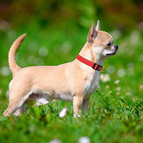 Taglory Collar Perro, Collar Nylon Reflectante Neopreno Forrado Ajustable para Perros Cachorro, Rojo