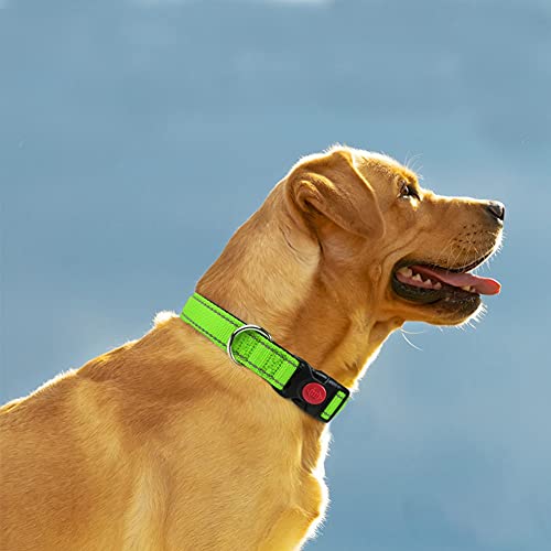 Taglory Collar Perro, Collar Nylon Reflectante Neopreno Forrado Ajustable para Perros Extra Grandes, Verde