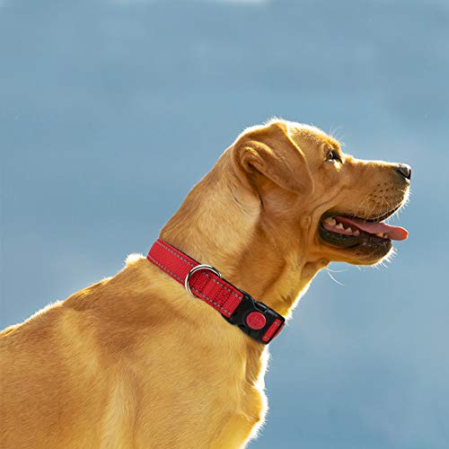 Taglory Collar Perro, Collar Nylon Reflectante Neopreno Forrado Ajustable para Perros Grandes, Rojo