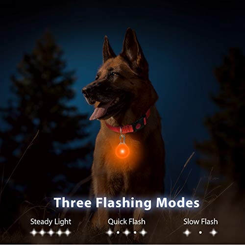 Taglory Luz LED Collares para Perro Clip-on, Luces de Seguridad Coloridas para Perros y Gatos, Collar Luminoso Perro Luz Impermeable, Colgante Perro Luz LED Noche(2 Baterías Adicionales), Naranja