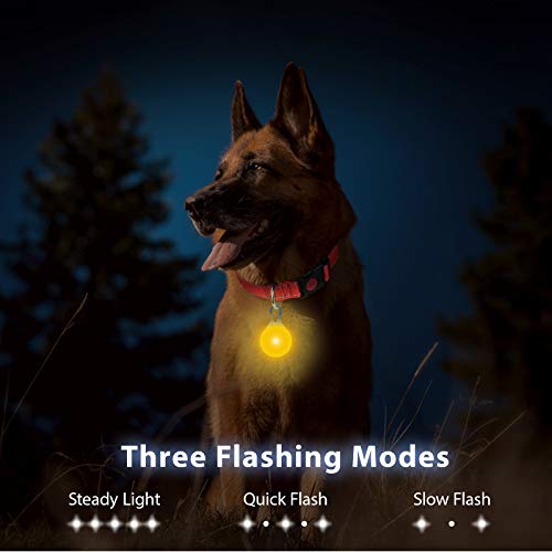 Taglory Luz LED Collares para Perro Clip-on, Luces de Seguridad Coloridas para Perros y Gatos, Collar Luminoso Perro Luz Impermeable, Colgante Perro Luz LED Noche(2 Baterías Adicionales), Amarillo