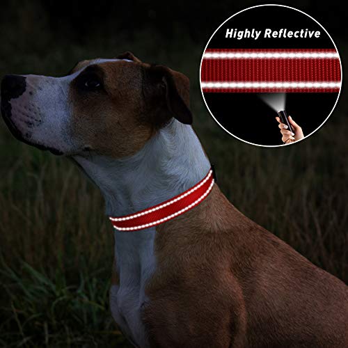 TagME Collar Perro Ajustable,Collar Nylon Reflectante,para Caminar Correr Entrenamiento,para Perros Pequeños,Rojo,1.5cm De Ancho