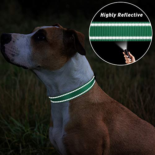 TagME Collar Perro Ajustable,Collar Nylon Reflectante,para Caminar Correr Entrenamiento,para Perros Pequeños,Turquesa,1.5cm De Ancho