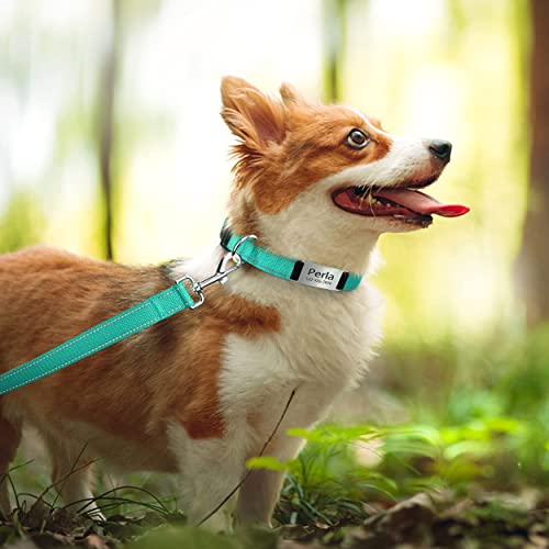 TagME Personalizado Nylon Collares para Perros, Ajustable Reflectante Collar Perro con Acolchados, Etiqueta de Acero Inoxidable Nombre Grabado y Número de Teléfono, Turquesa